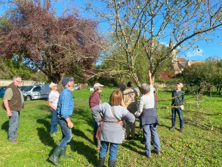 3 20241016 130106097 iOS Comment rajeunir le prunier à quetches