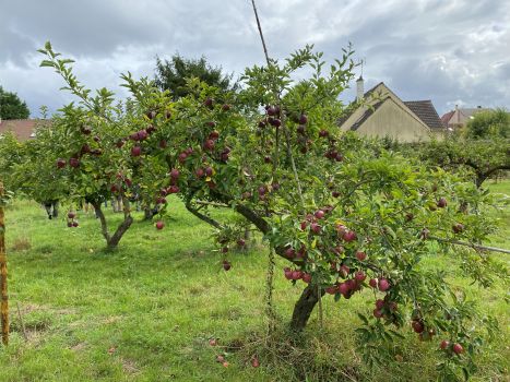 20250910 120903647 iOS