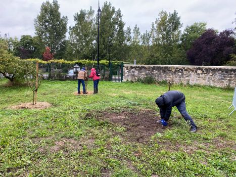 20250924 135052629 iOS