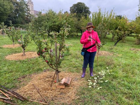 20250924 135128386 iOS