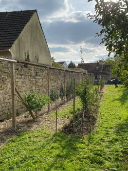 20251008 142400276 iOS