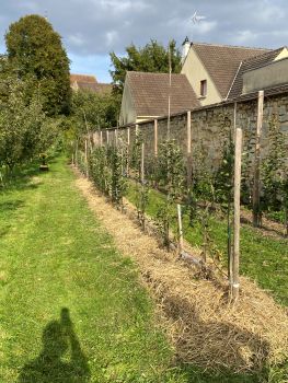 20251008 142604544 iOS