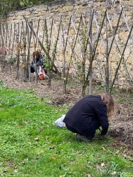 20251029 143613039 iOS liserons