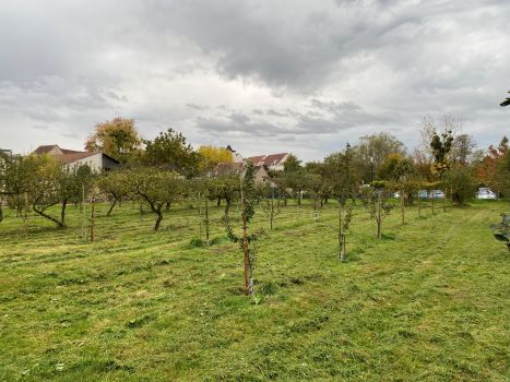 20251029 150834456 iOS tonte 2