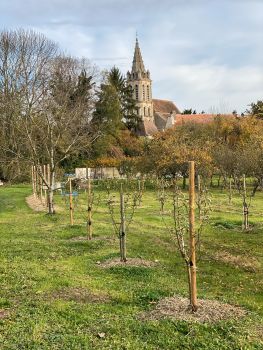 20251105 121750240 iOS