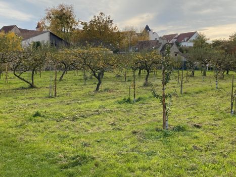 20251105 122126484 iOS