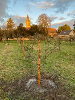 20251126 153938144 iOS Preparation axes2