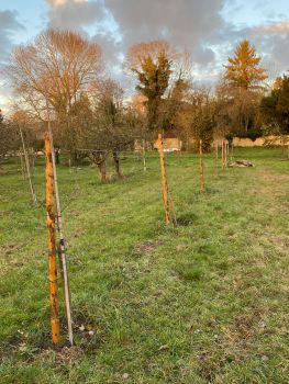 20251126 153949323 iOS