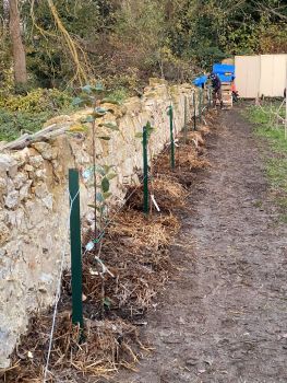 20251126 155610153 iOS cordon fini