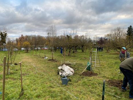 20251203 145950176 iOS axe 2