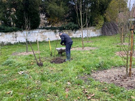 20251203 150007303 iOS remplacement poirier