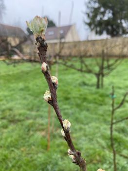 20260218 130959949 iOS