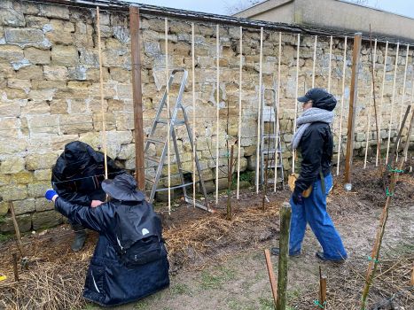 20260218 144522300 iOS