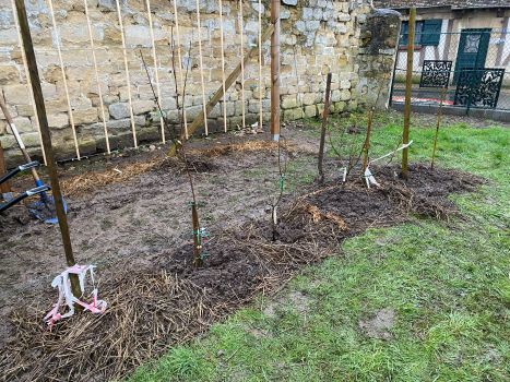 20260218 144531221 iOS