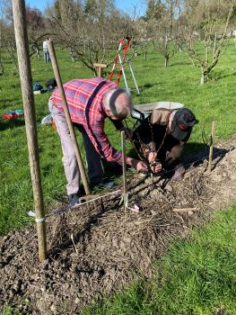 20260318 135319331 iOS