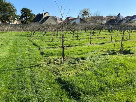 20260318 144657859 iOS