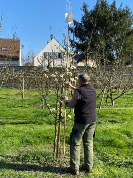 20260318 144732426 iOS