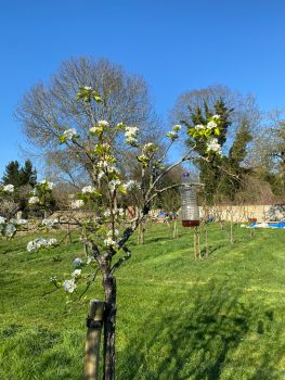 20260318 150005099 iOS