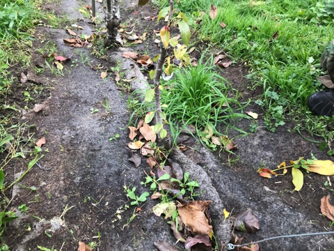 IMG 1210 02 11 19 10 58
