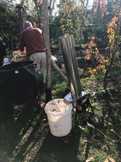 IMG 1265 09 11 19 09 18